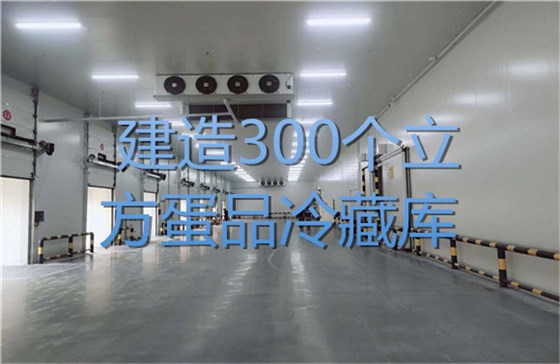 建造300个立方蛋品冷藏库