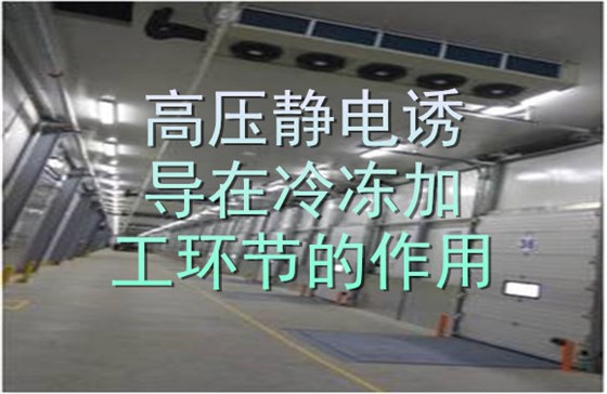 高压静电诱导在冷冻加工环节的作用